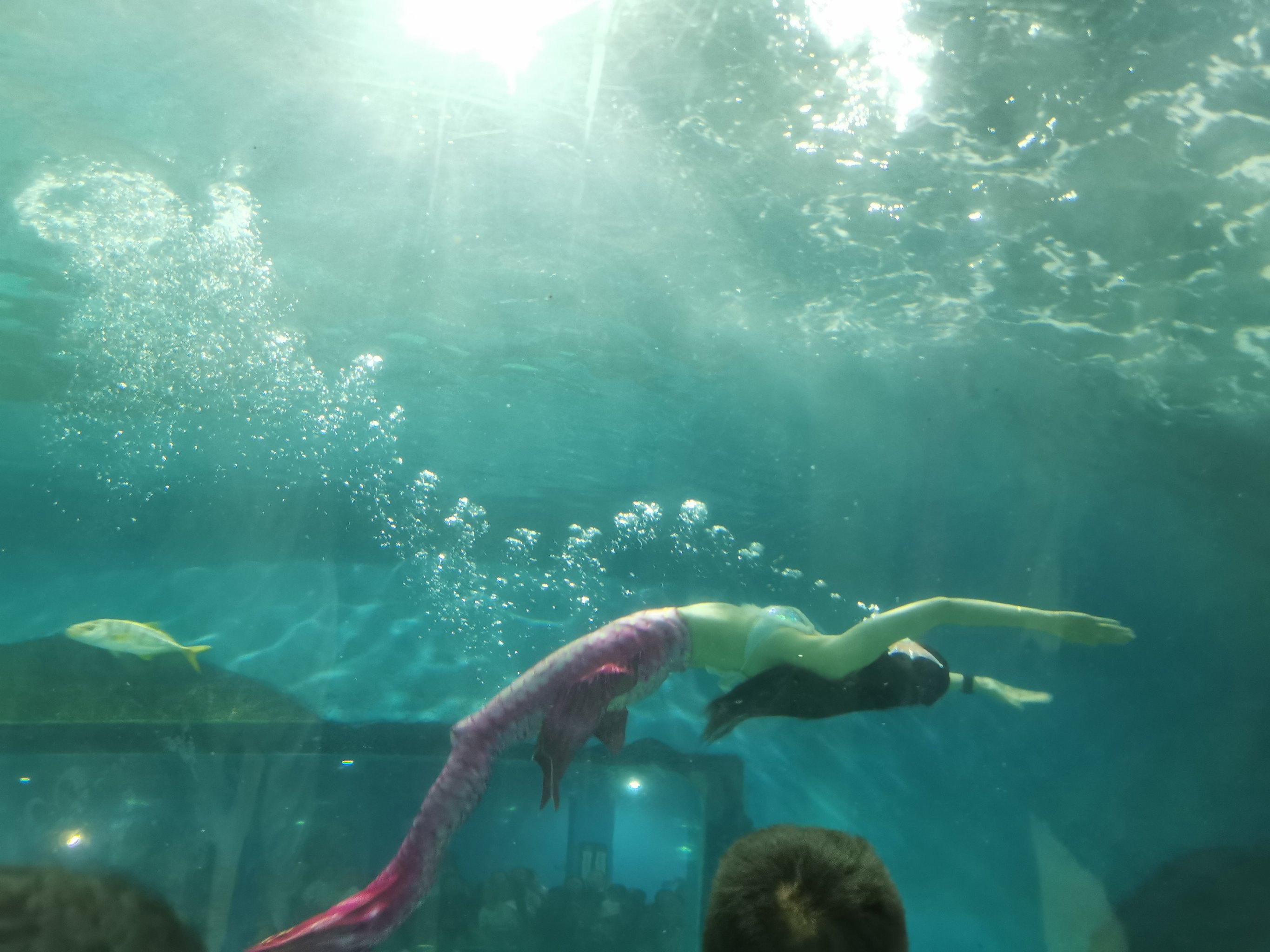 星空体育入口-水底漫步体验，探索奇妙的海底世界