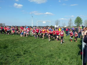 -中国篮球青少年篮球发展政策落实与推广，中国青少年篮球发展现状