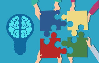 星空体育官网信誉好-中小学课程内容创新，中小学创新教育