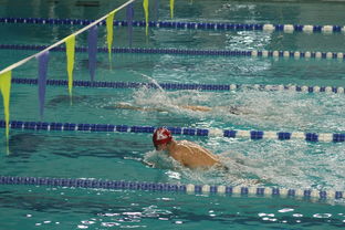 星空体育首页登录-张雨霏自由泳赛事表现突出,张雨霏说没练过自由泳就上决赛