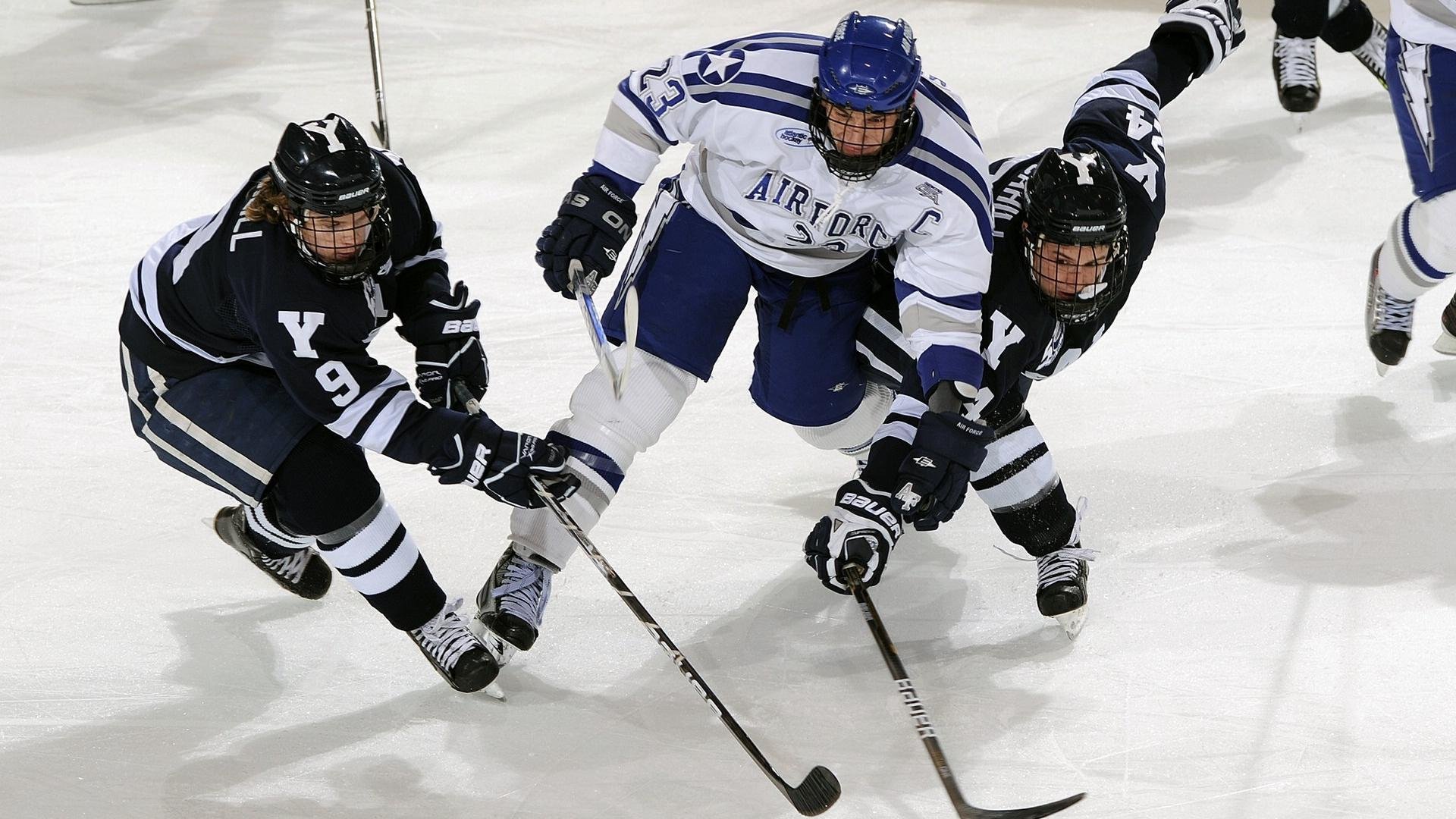国家马术队与国际专家合作，训练水平提升，国家马术队队员